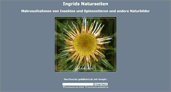 Desktop Screenshot of golddistel.de