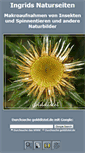 Mobile Screenshot of golddistel.de