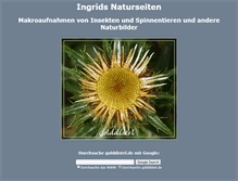 Tablet Screenshot of golddistel.de